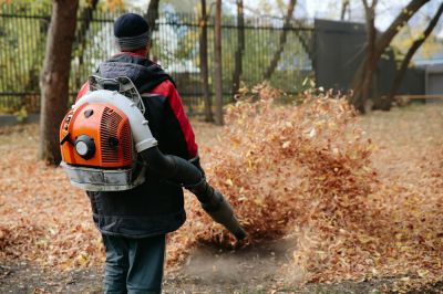 Find Leaf Removal & Cleanup Pros in Los Angeles County, CA | Growcycle
