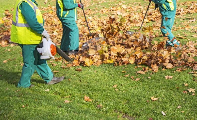 Leaf Removal