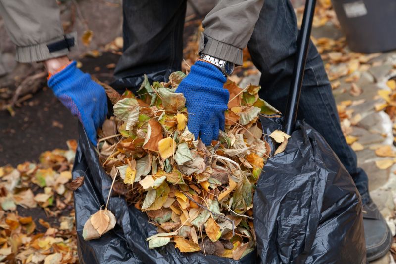 Leaf Removal in Autumn