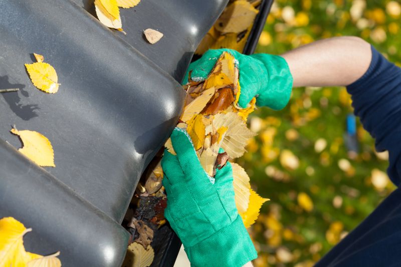 Gutter Cleaning
